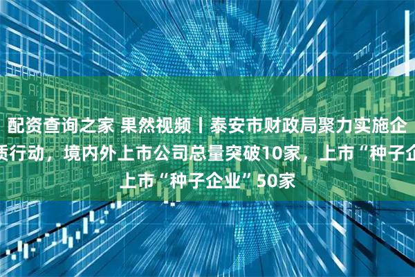配资查询之家 果然视频丨泰安市财政局聚力实施企业上市提质行动，境内外上市公司总量突破10家，上市“种子企业”50家