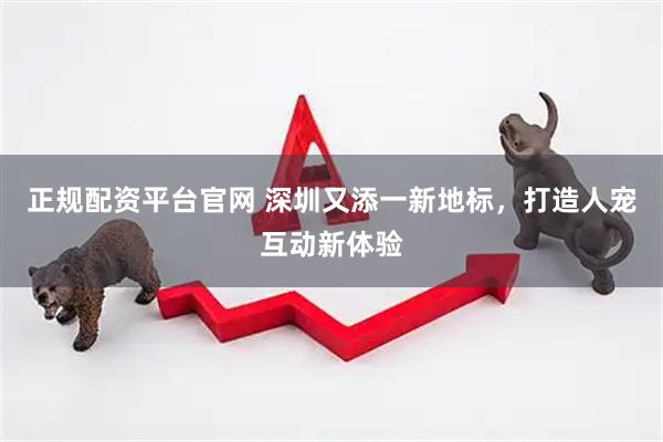 正规配资平台官网 深圳又添一新地标，打造人宠互动新体验