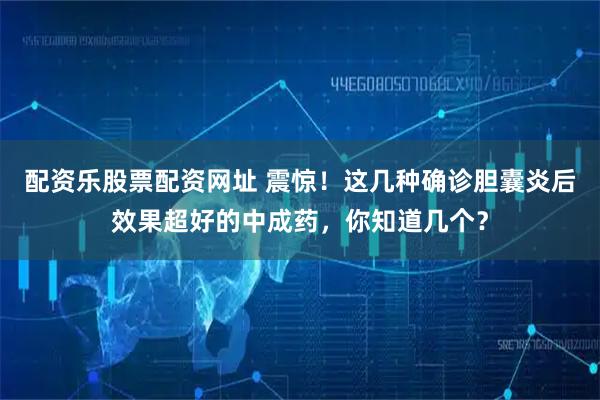 配资乐股票配资网址 震惊！这几种确诊胆囊炎后效果超好的中成药，你知道几个？