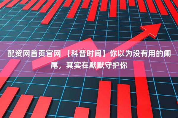 配资网首页官网 【科普时间】你以为没有用的阑尾，其实在默默守护你