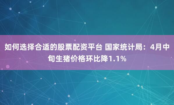 如何选择合适的股票配资平台 国家统计局：4月中旬生猪价格环比降1.1%